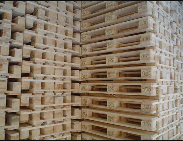 خرید پالت چوبی یورو